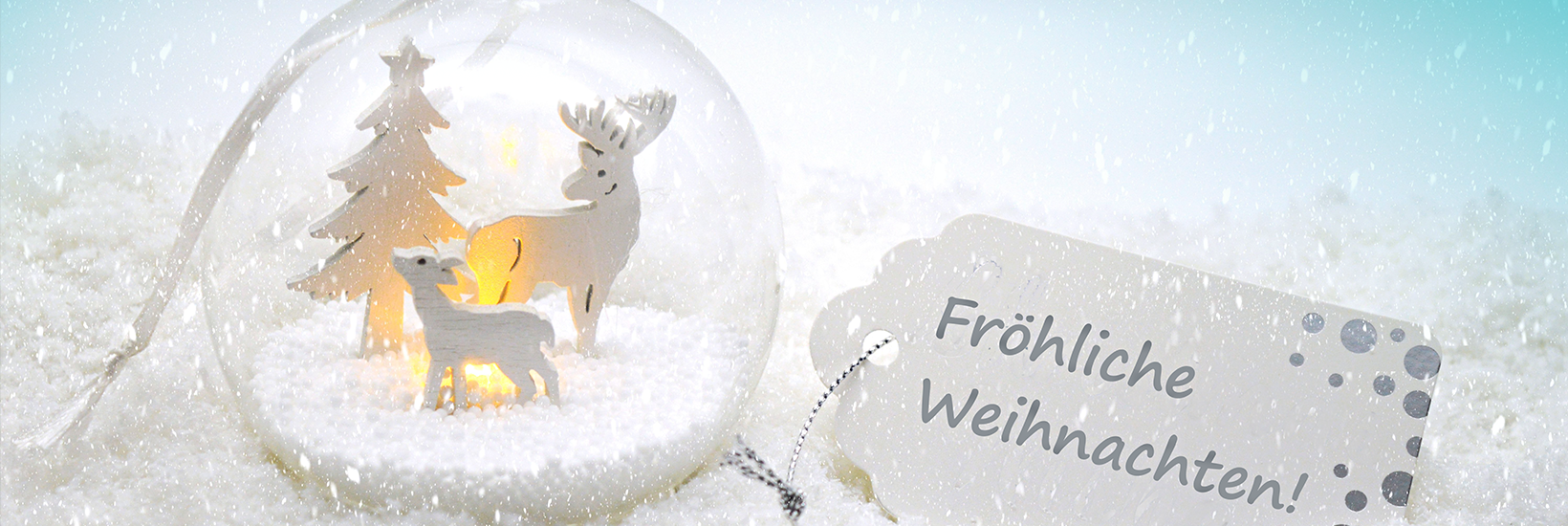 Fröhliche Weihnachten! Fröhliche Weihnachten!